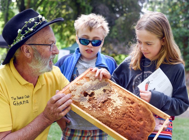 All creatures great and small – Big Nature Festival returns to Stratford Park