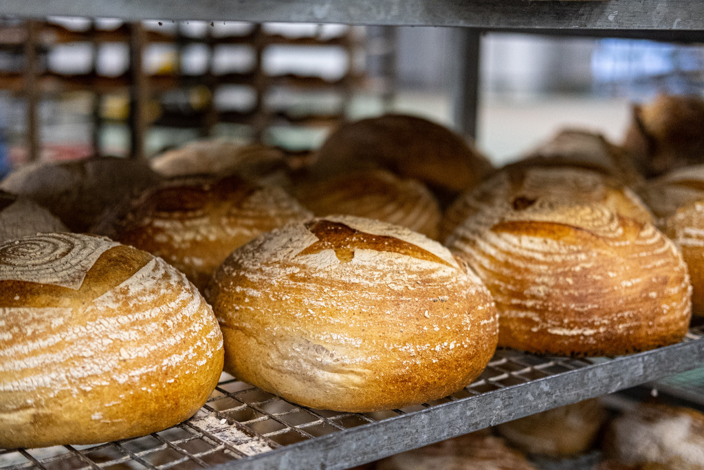 A fifth-generation family-run bakery has been bestowed the 2025 King’s Award for Enterprise in Sustainable Development. 52143412448 9e0ef3490e k | Royal recognition for popular bakery