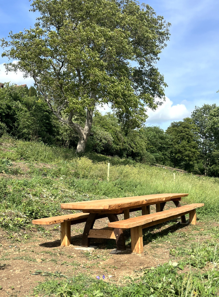 Table5 1 | Community effort revitalises disused site in Brimscombe