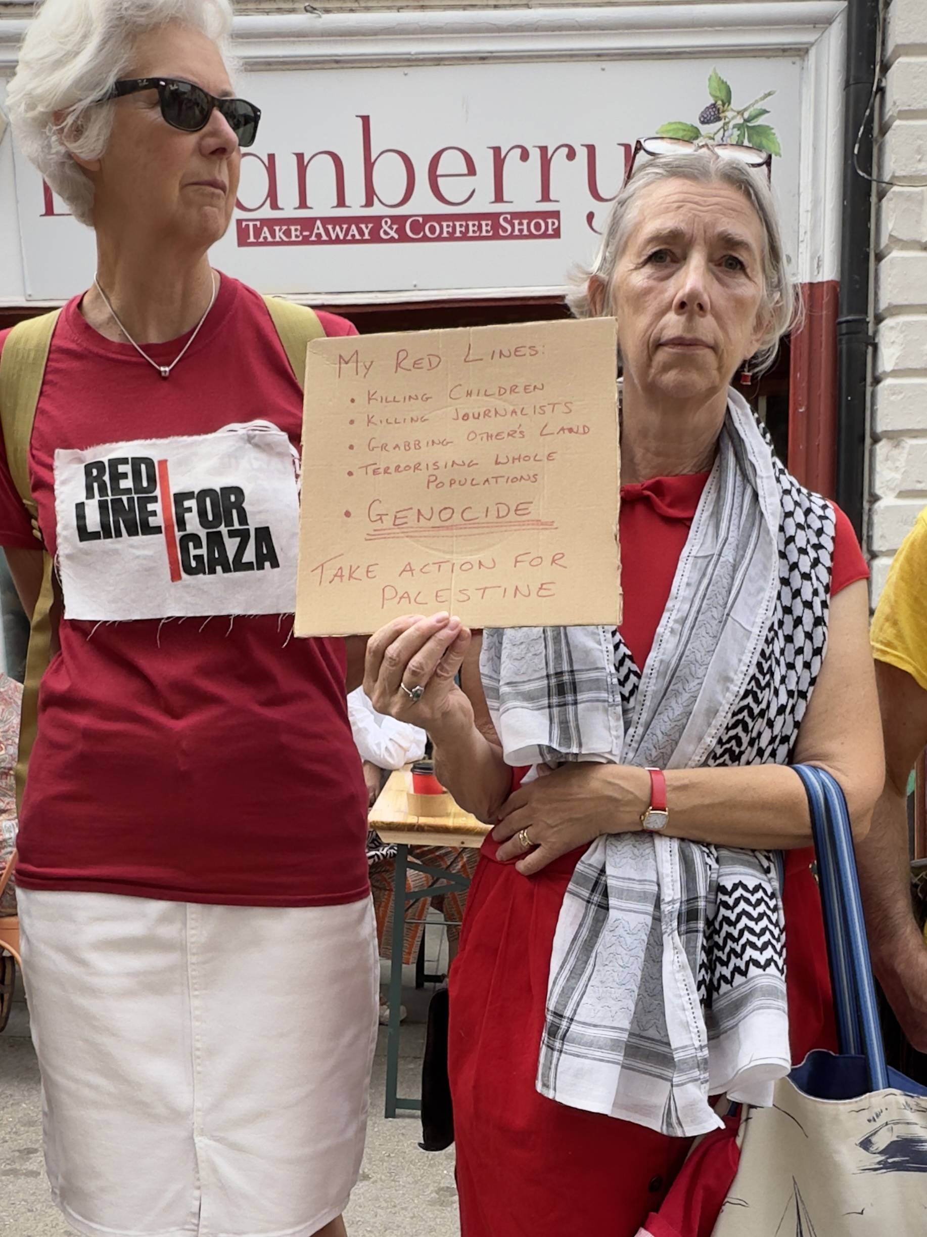 9.Red Line Placards RedLineForGaza Protest Copyright Deborah Roberts IMG 8902 | In pictures: Stroud joins nationwide Red Line for Gaza demonstration