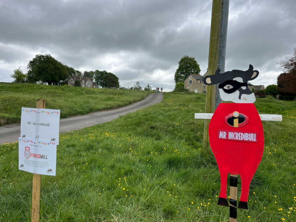 Mr Incredibull 1 | Get ready to moo-ve! Amberley Cow Hunt returns