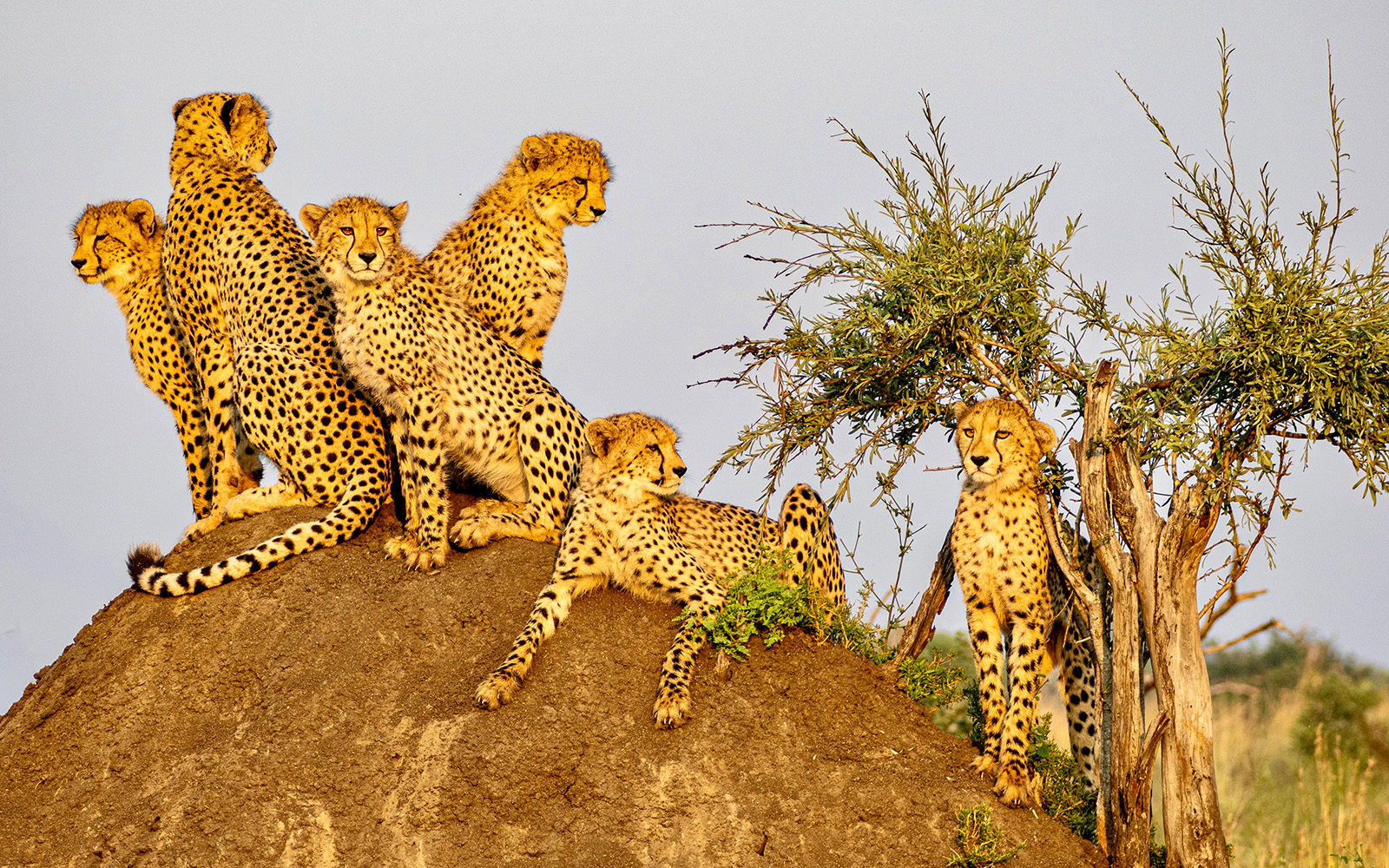 Spectacular photos praised by competition judge